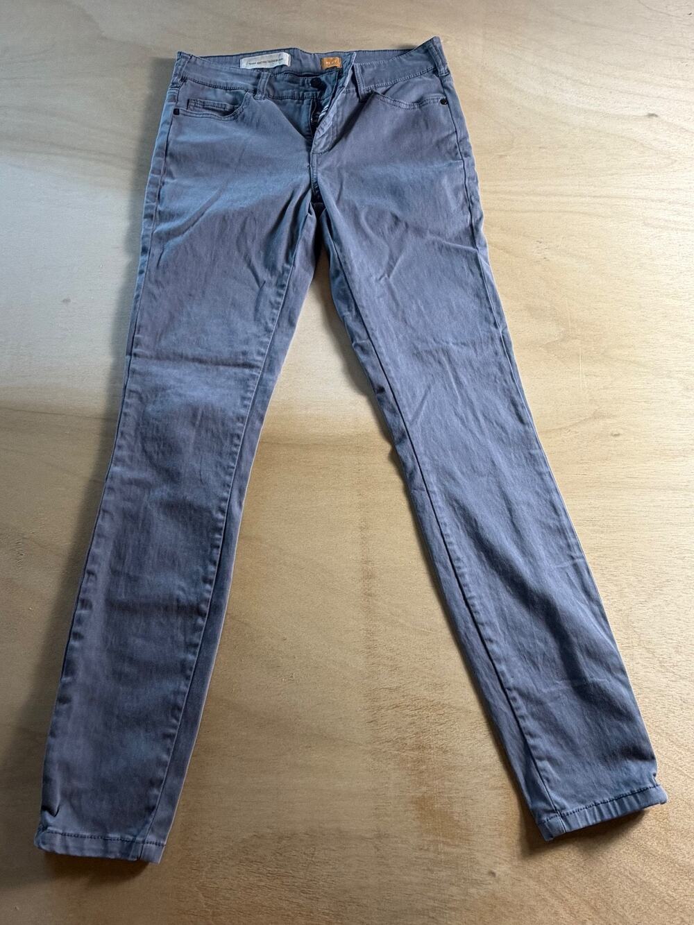 Anthropologie Pilcro Letterpress Serif Fit Skinny Pants Gray Sz 27 Ankle Zip